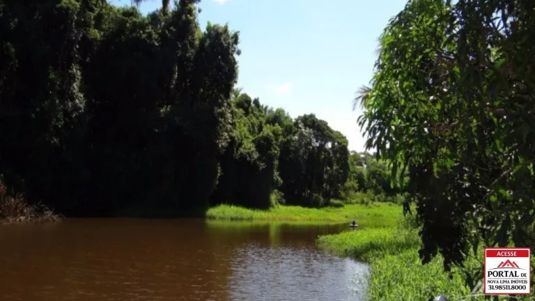 Imagem VENDO BELO SITIO EM ESMERALDAS, JUNTO AO CONDOMÍNIO IPÊ AMARELO. AMPLA ÁREA DE LAZER, PISCINA, SAUNA, QUADRA E LAGOA COM MUITO PEIXE