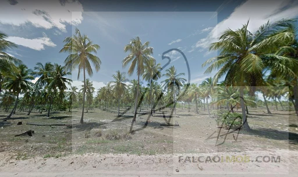 Imagem Terreno para Venda em Conde / BA no bairro Sítio do Conde - Conde-Ba