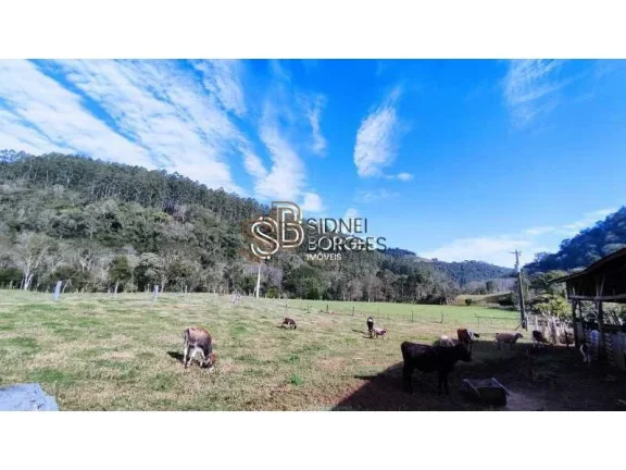 Imagem Sítio LINDÓIA DO SUL - SC