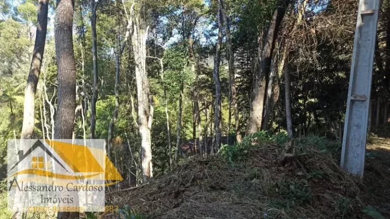 Imagem Vendo terreno de 2230 mts² no Paissandu