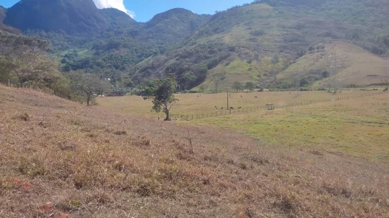 Imagem AREA RURAL em GUARAPARI - ES, COMUNIDADE URBANA DE SAMAMBAIA