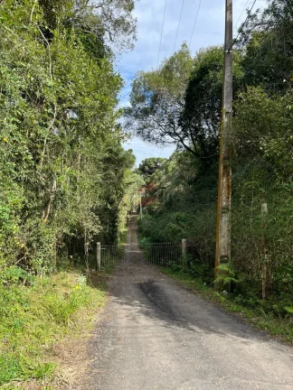 Imagem ÁREA à venda com 20445.4m² por R$ 1.500.000,00 no bairro Alphaville Graciosa - PINHAIS / PR