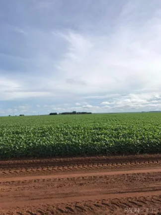 Imagem Fazenda à Venda, 34.060.000 m² em Zona Rural - Novo São Joaquim