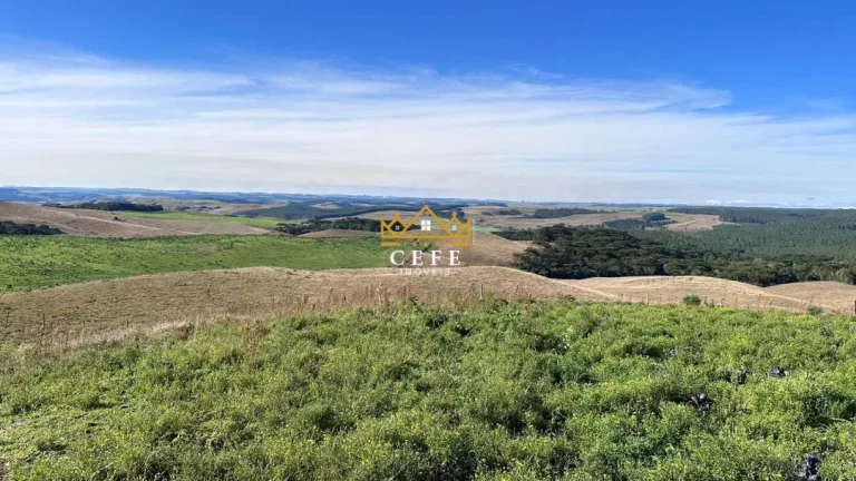 Imagem Chácara - Sítio com 3 Dormitorio(s) localizado(a) no bairro Zona Rural em São Francisco de Paula / RIO GRANDE DO SUL Ref.:1504