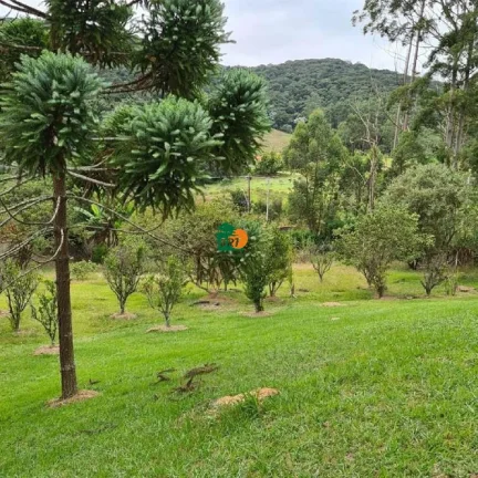 Imagem Chácara para Venda em São Roque, Centro (canguera), 3 dormitórios, 2 suítes, 1 banheiro