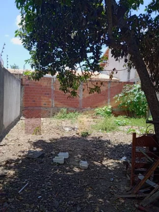 Imagem Terreno no Papagaio