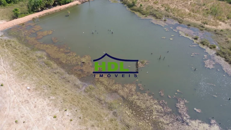 Imagem Fazenda de OPORTUNIDADE Dupla Aptidão em Peixe do Tocantins