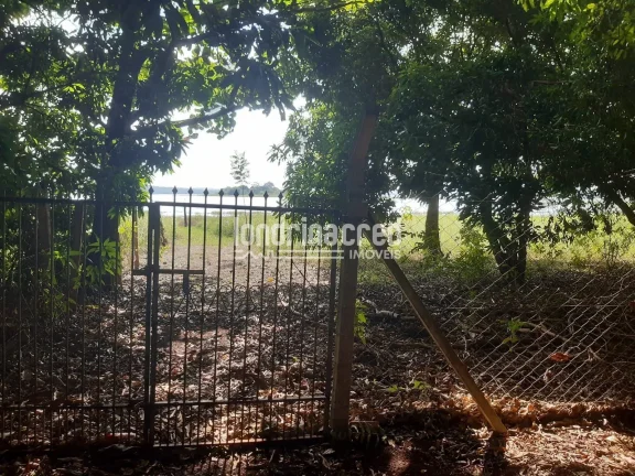 Imagem Chácara no Condomínio Piapara em Alvorada do Sul com 2.260m², 3 quartos, árvores frutíferas, café em produção, área cimentada e muito verde!