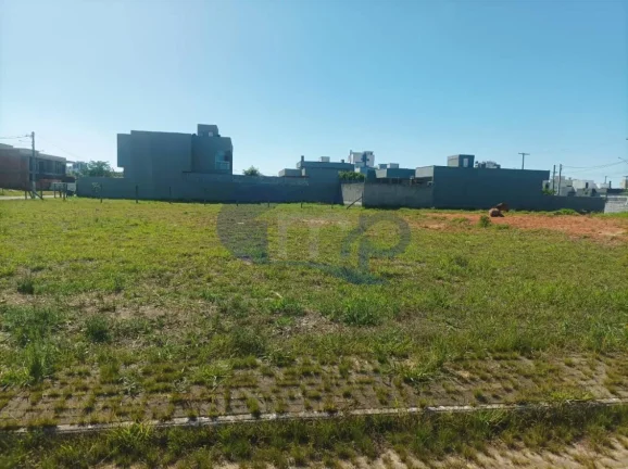 Imagem Onde a Cidade Encontra a Natureza: Morada das Palmeiras em Torres