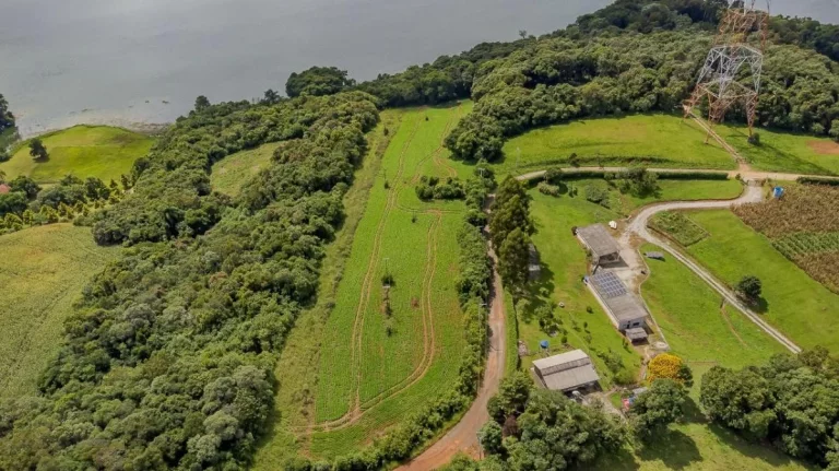 Imagem Área 15000m2 frente para Represa do Passaúna