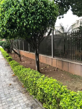 Imagem Imóvel de luxo no Morumbi: Apartamento com 5 quartos, 3 suítes e 4 vagas na cidade de São Paulo-SP
