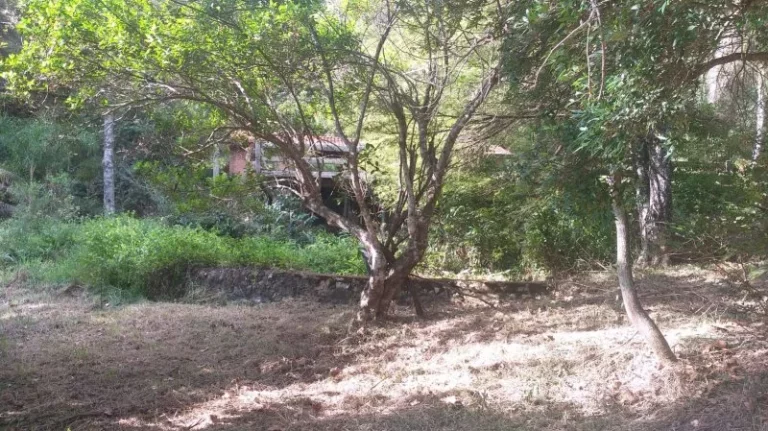 Imagem Sítio - Venda em Cabreúva e Região/SP