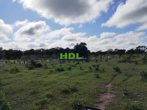 Imagem Fazenda de Oportunidade com 1.443 Hectares em Cocalinho MT