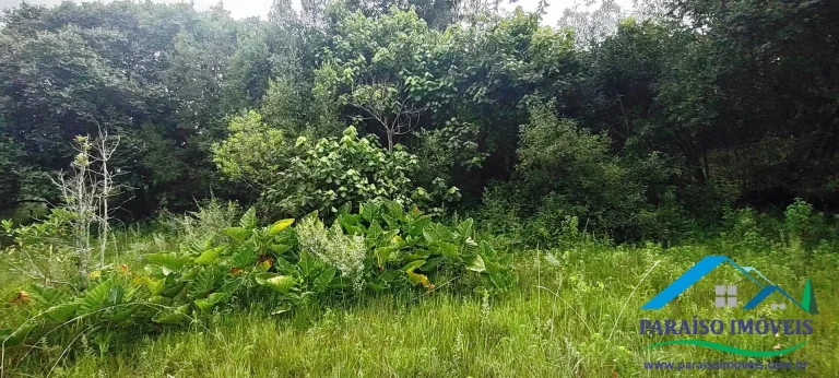 Imagem Espetacular Terreno Rural na Serra da Mantiqueira - Sul de Minas