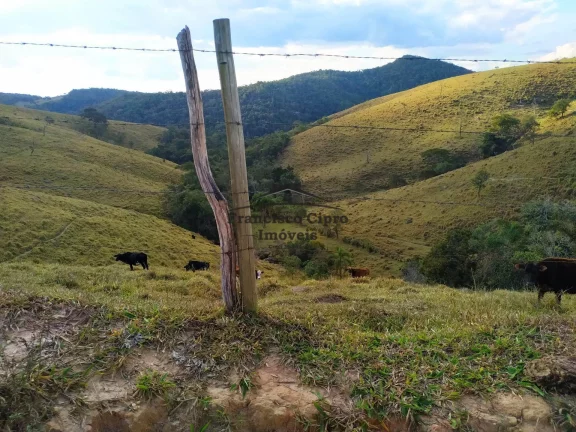 Imagem Fazenda à venda no bairro Catioca - Cunha/SP