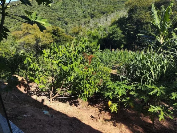 Imagem CH - 24110 - CHÁCARA EM CAÇAPAVA COM 4 QUARTOS