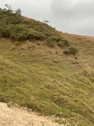 Imagem RIQUEZA RURAL: 10 ALQUEIRES NO PAIOL POR APENAS R$ 600 MIL!