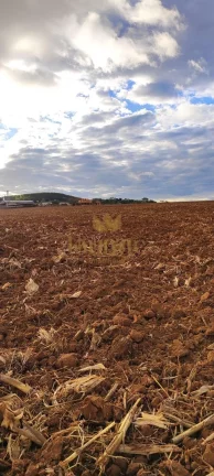 Imagem Fazenda em Não Informado