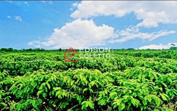 Imagem Fazenda/Sitio, Residencial/Comercial para Venda, Centro, Caraiva