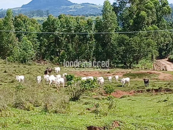 Imagem Sítio à venda, Flamenguinho, Ibaiti, PR