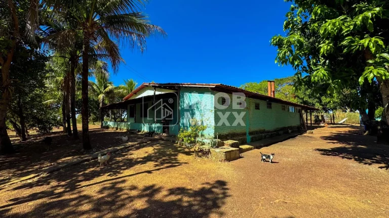 Imagem Fazenda a venda em Formosa: 281 hectares, água perene, dupla aptidão - escriturada e registrada.