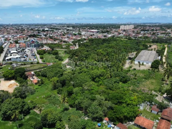 Imagem Área com 3 mil metros à Venda - Vale do sol | Parnamirim/RN