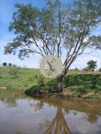 Imagem MARAVILHOSO SITIO PORTEIRA FECHADA 48.000 M2 NA BEIRA DO RIO SOROCABA , MUNICIPIO DE JUMIRIM EXCELEN...
