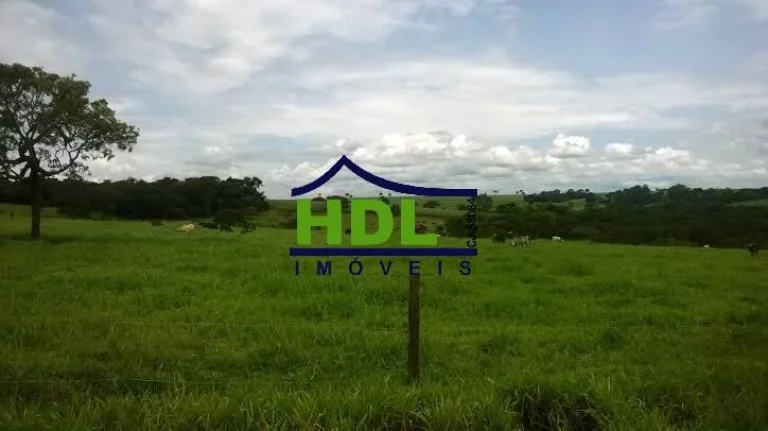 Imagem FAZENDA 38,5 ALQS TRIPLA APTIDÃO MUITA ÁGUA EM PIRACANJUBA - GO.