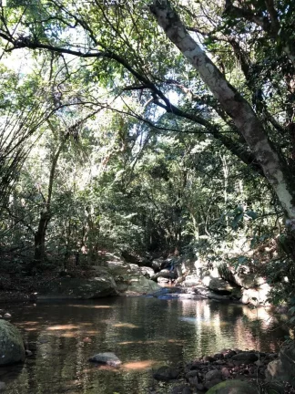 Imagem Fazenda à Venda, 840.000 m² em Mazomba - Itaguaí