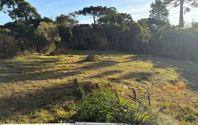 Imagem Oportunidade Única em Campos do Jordão Lote Exclusivo com VistaDeslumbrante