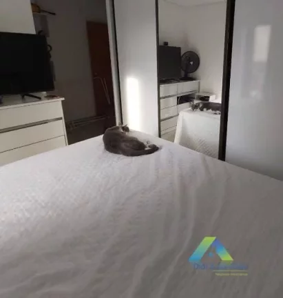 Imagem Apartamento à venda no bairro Paraíso - Santo André/SP
