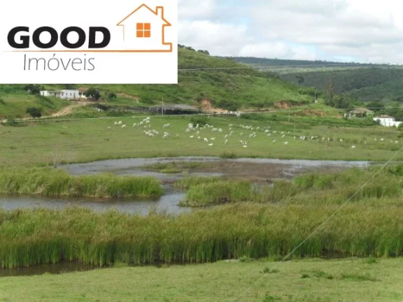 Imagem Fazenda RURAL em Silva Jardim - RJ, Silva Jardim