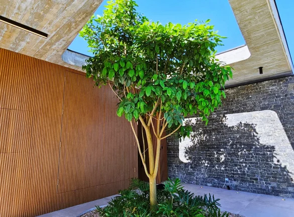 Imagem Casa de luxo à venda em Riviera de São Lourenço Módulo 15: 5 suítes, 3 salas, 3 vagas, 542m² de área.