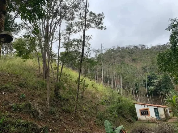 Imagem PROPRIEDADE A VENDA EM NOVA FRIBURGO - 81.000m2