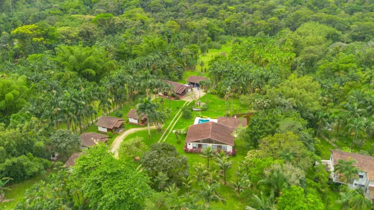 Imagem Chácara 81.756,00 m2 Porto de Cima