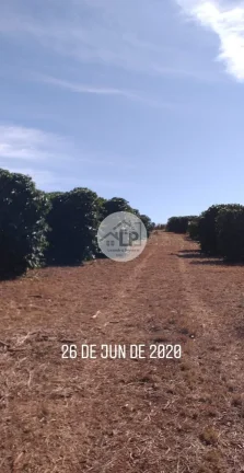 Imagem Fazenda de Café à Venda na Região do Alto Paranaíba - Minas Gerais