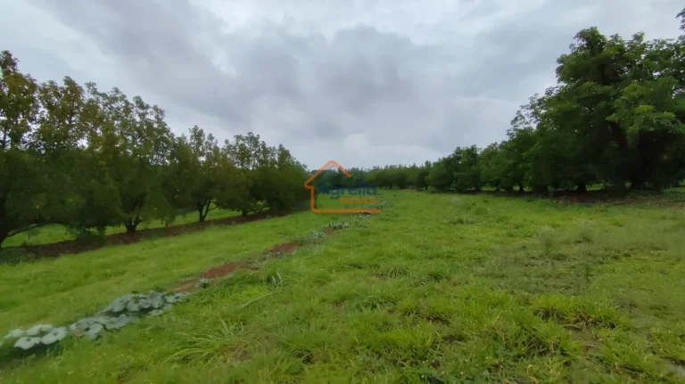 Imagem Sítio à venda no bairro PITEIRAS - Mogi Mirim/SP