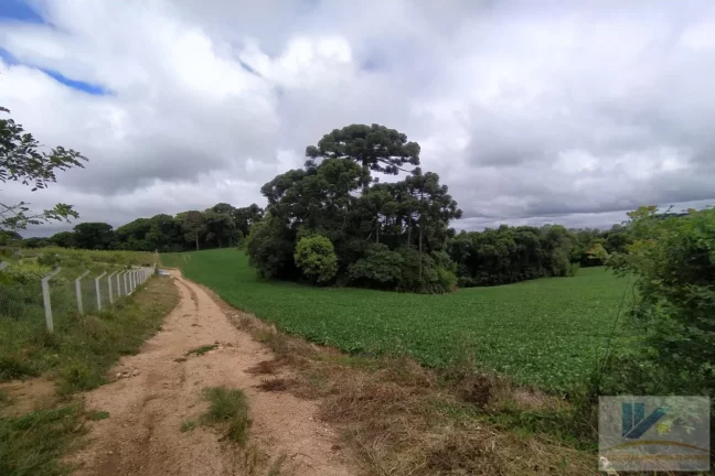 Imagem Terreno para Venda em São José dos Pinhais, Contenda, 1 dormitório