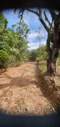 Imagem CHÁCARA A VENDA EM JARINÚ