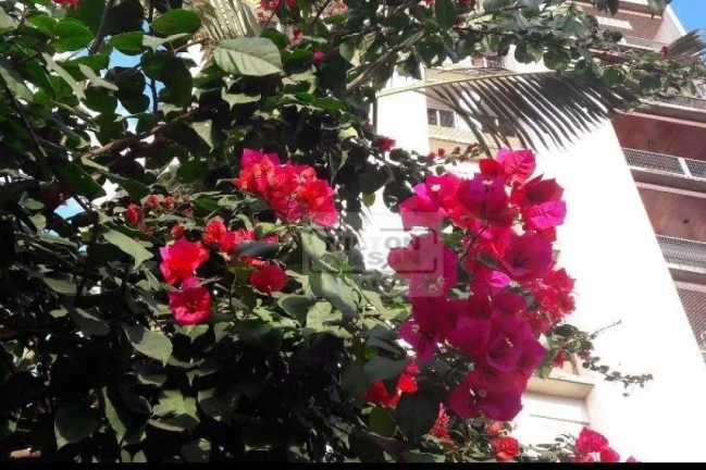 Apartamento com 3 dormitórios para alugar, 100 m² por R$ 3.689,00/mês - Jardim Guanabara - Campinas/SP