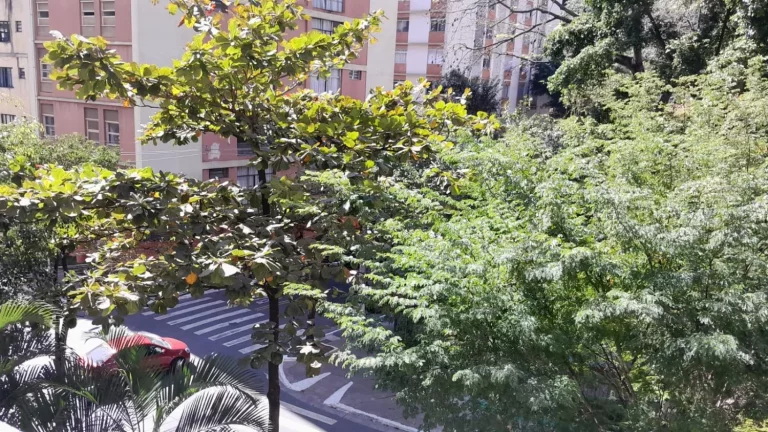 Imagem Apartamento com 1 dormitório na Bela Vista - Rua Rocha