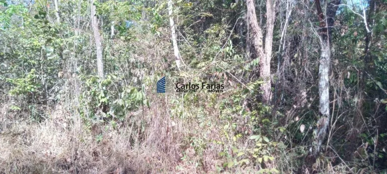 Imagem Chácara para Venda em Brasília, Setor Habitacional Jardim Botânico