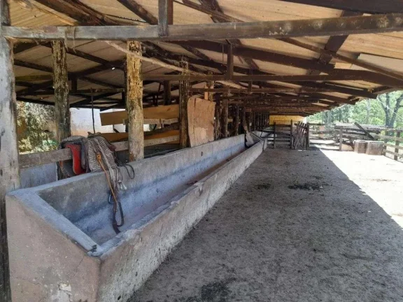 Imagem Fazenda à venda em Barbacena, Correia de Almeida, com 4 quartos, 53ha