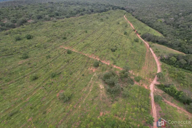 Imagem Fazenda em Centro, Presidente Olegário/MG
