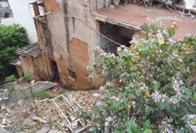 Imagem Terreno à venda, 300 m² por R$ 3.200.000,00 - Alta da Lapa - São Paulo/SP