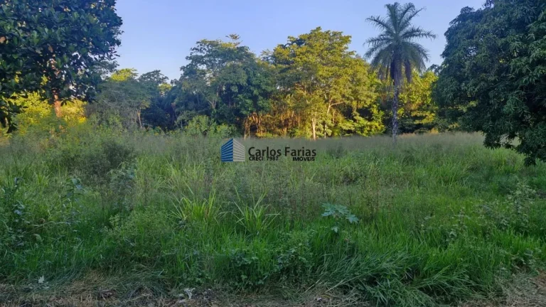 Imagem Chácara para Venda em Brasília, Setor Habitacional Tororó (Jardim Botânico), 3 dormitórios, 1 suíte, 5 banheiros, 4 vagas