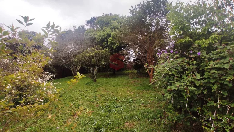Imagem Casa com 320m2 e terreno com 1.016m2 na Vila Bancária, Campo Largo/PR