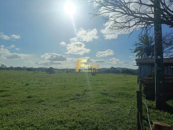 Imagem MARAVILHOSA FAZENDA PARA PLANTIO DE CAFÉ.