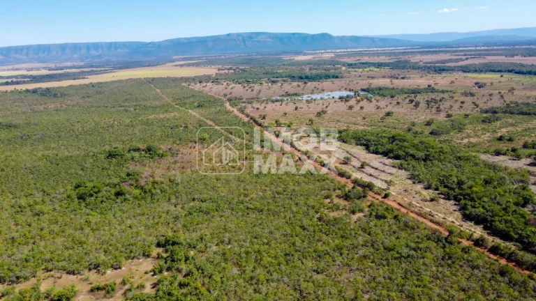 Imagem Fazenda a venda em Formosa: 281 hectares, água perene, dupla aptidão - escriturada e registrada.