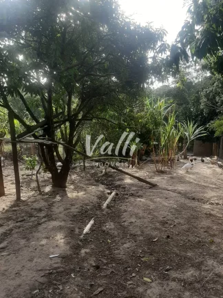 Imagem CHACARA RESIDENCIAL em Tupi - SP, Santa isabel